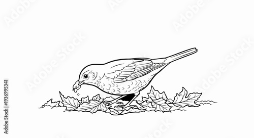 Detailed line drawing of a bird pecking at seeds among fallen leaves