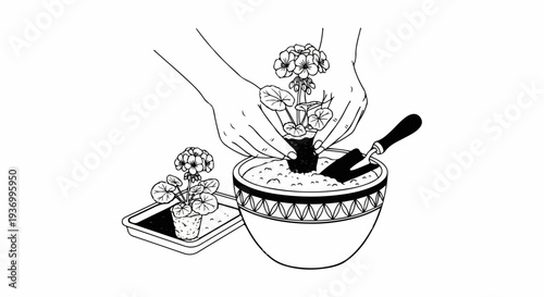 Hands planting a potted flower into a decorative bowl with soil and a trowel