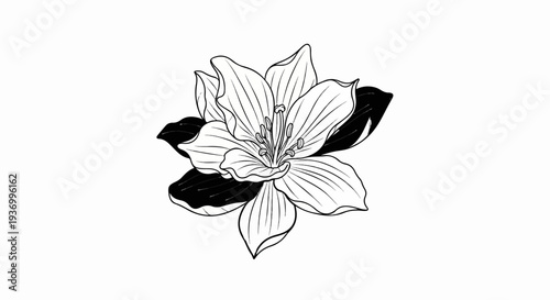 Elegant ink drawing of a stylized flower with dark leaves