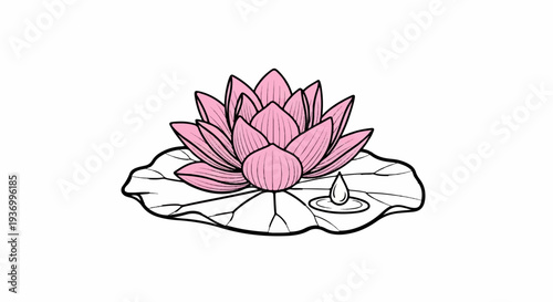 Delicate pink lotus blossom with intricate petals rests on a broad green leaf