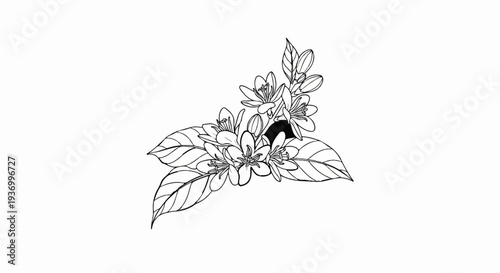Delicate sketch of blooming flowers with leaves, black ink on white