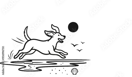 Joyful dog running on a beach under the sun with birds flying