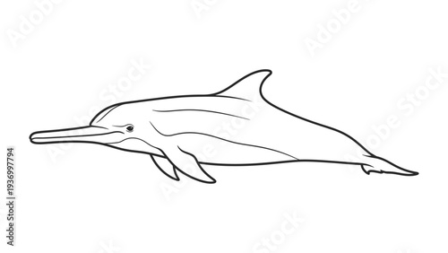 Oceanic Grace: A sleek dolphin glides effortlessly through the ocean, capturing the elegance of marine life, a symbol of freedom and intelligence.