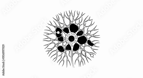 Detailed black and white illustration of a complex, radially symmetrical, organic structure