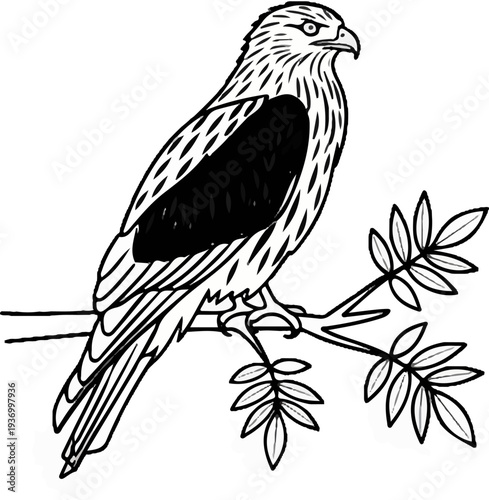 A detailed illustration of a hawk perched on a branch with leaves