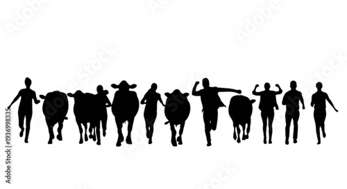 Silhouette of people running with cows in a line