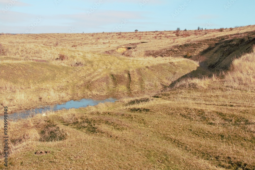 Naklejka premium A river running through a dry landscape