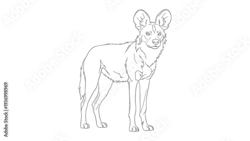Wild Dog Line Art: A detailed line drawing of a wild dog, capturing the elegant form and characteristic features of the animal. 