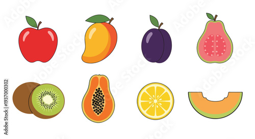 Colorful fruits vector illustration