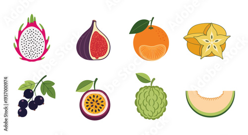 Colorful tropical fruit assortment illustration