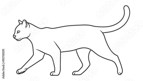 Contour Line Cat: A detailed black and white illustration of a graceful cat in a walking posture, showcasing elegance and agility.