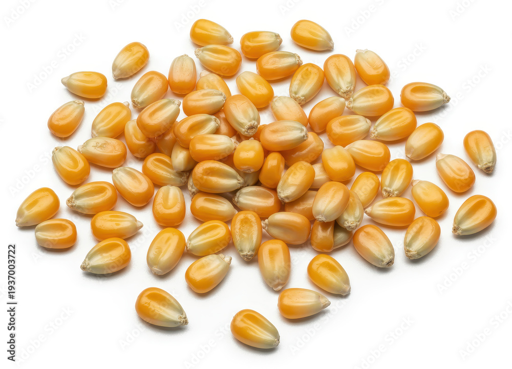 Fototapeta premium Orange popcorn kernels on white background isolated