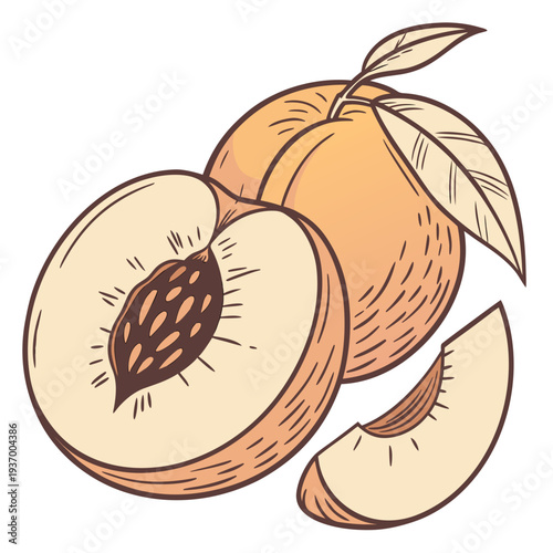 Whole and sliced peaches with leaves fruit whole peach