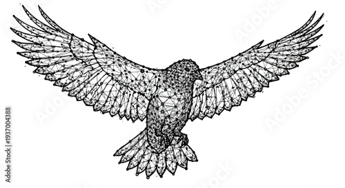 Bald eagle flying wings spread wildlife sketch