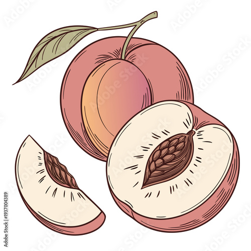 Whole and sliced peaches with leaf fruit whole peach