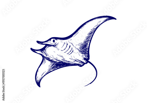 Manta Ray hand drawn simple sketch vector illustration