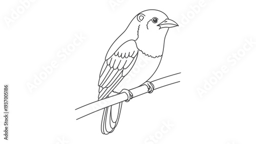 Bird Sketch on a Branch: A delicate sketch portrays a single bird perched gracefully on a slender branch, a testament to the beauty of simplicity and the wonder of nature.