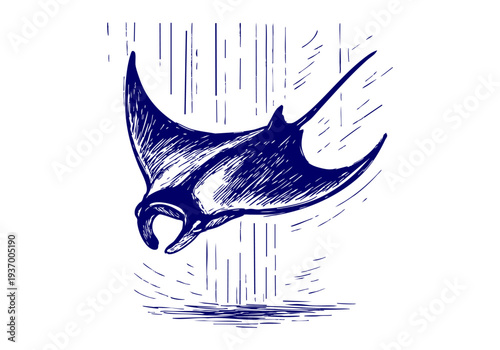 Manta Ray hand drawn simple sketch vector illustration