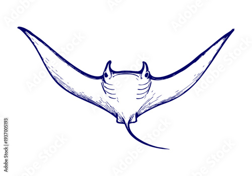 Manta Ray hand drawn simple sketch vector illustration