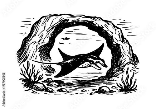 Manta Ray hand drawn simple sketch vector illustration