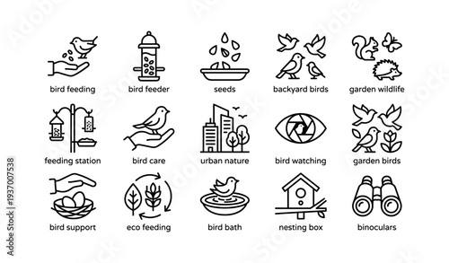 Bird feeding icons: backyard birds, seed feeder, urban nature, wildlife, bird watching