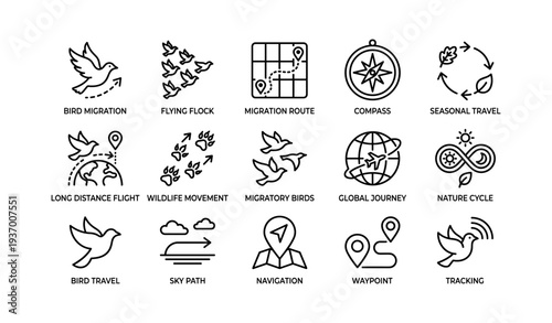 Bird migration icons: flight patterns, navigation, and global journey symbols