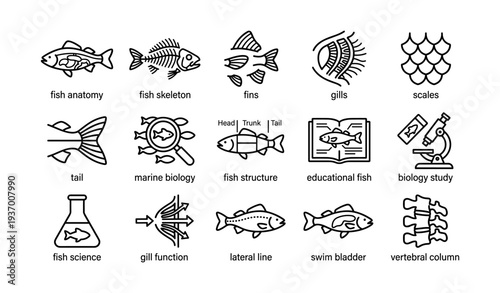 Fish anatomy and biology icons: scales, skeleton, fins, gills, tail, science tools