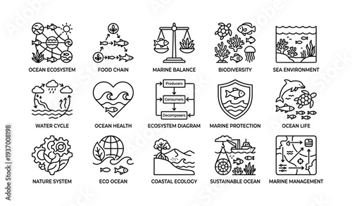 Marine ecosystem icons: biodiversity, ocean life, environmental protection illustrations