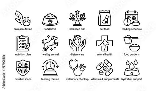 Animal nutrition icons: food bowl, diet, pet care, feeding schedule, veterinary checkup