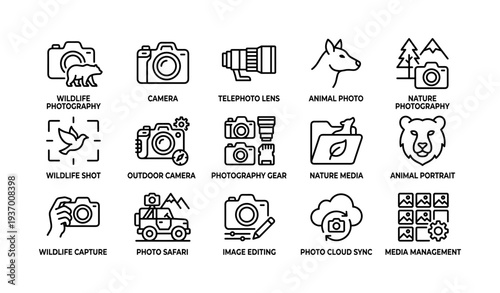 Wildlife photography icons: cameras, lenses, and nature elements