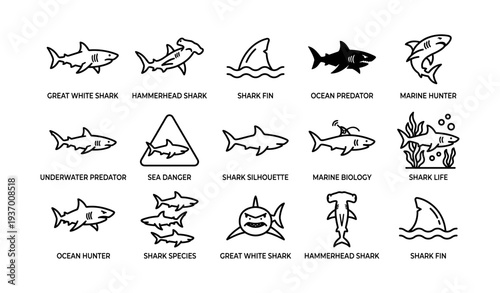 Great white and hammerhead shark icons depicting ocean predators in marine biology