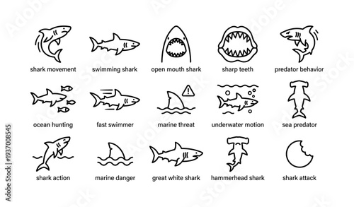 Various shark illustrations: icons of shark movement, predatory behavior, and marine danger