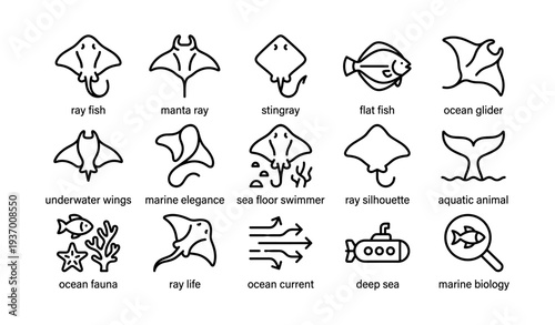 Marine icon set featuring rays and oceanic elements