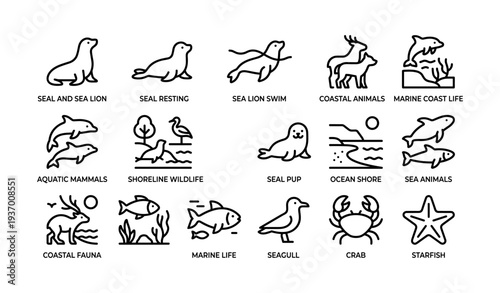 Set of black outline icons depicting coastal and marine wildlife