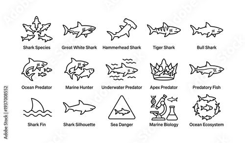 Diverse shark species and marine predator icons