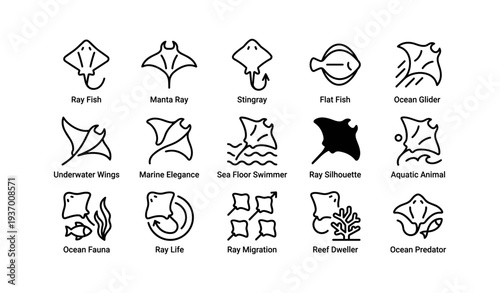 Stylized line art of ocean creatures: ray fish, manta, stingray, flat fish, reef, fauna