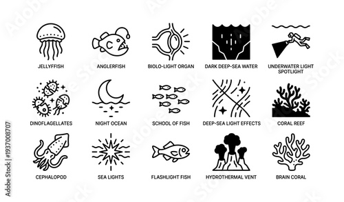 Marine icons: jellyfish, bioluminescence, hydrothermal vent, coral reef, cephalopod