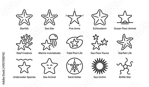 Echinoderm icons: starfish, sea stars, and marine invertebrates