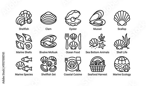 Shellfish icons set with clams, oysters, mussels, scallops, and seafood