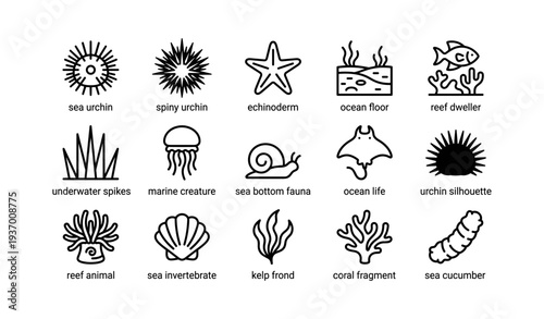 Marine life icons: sea urchin, starfish, jellyfish, ocean floor, reef fish
