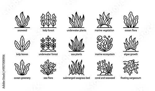 Collection of ocean plant icons: seaweed, kelp, and marine vegetation