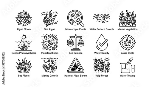Marine ecosystem icons: algae, photosynthesis, plankton, water quality, eco balance