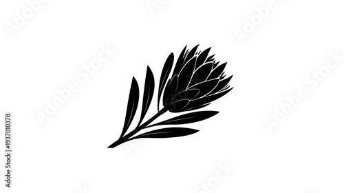 A stark black illustration of a flower with petals and leaves, set against a pristine white background