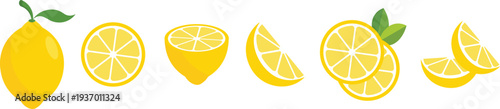 Citrus lemon slices set. Vector EPS