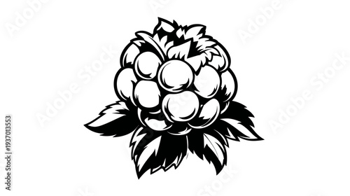 A monochrome illustration of a bramble fruit with leaves. It's rendered in simple black lines