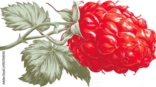 A vibrant, detailed illustration of a ripe red fruit with green leaves and a delicate stem