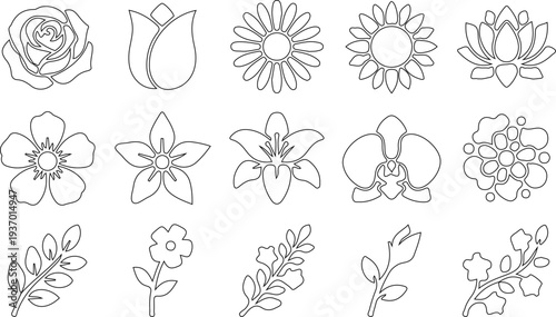 hand drawn flowers