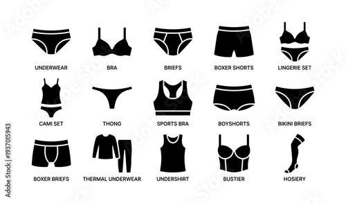 Various types of underwear and lingerie icons with labels