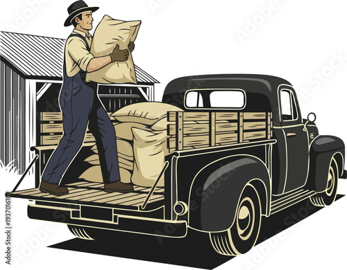 Male rancher loading heavy sacks of grain onto a vintage black pickup truck