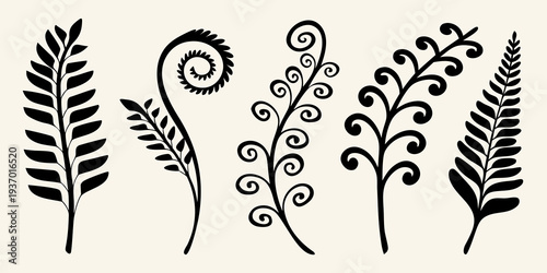 Stylized black fern fronds and decorative botanical elements illustration
